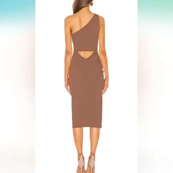 Sarin Mathews Tan One Shoulder Ruched Bodycon Midi Dress Size Large NWT - Picture 3 of 6